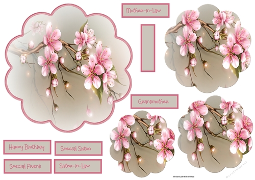 Cherry blossom scallop