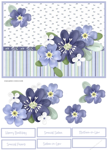 forget me not flowers A5