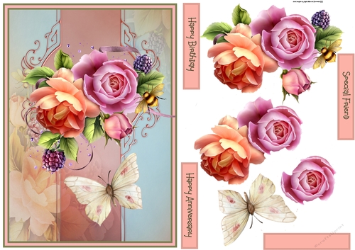 Peach rose and butterfly A5