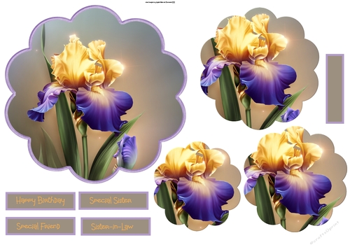 Yellow and purple Iris scallop 6x6