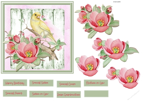 Wild rose and bird 6x6