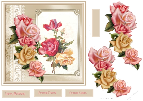 Pink and lemon rose 7x7