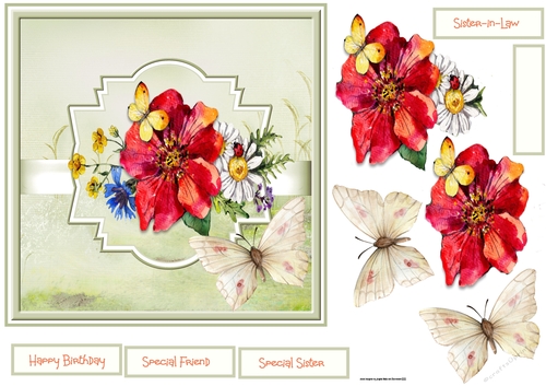Red poppy, daisy and butterfly 7x7