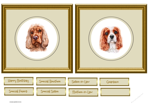 Spaniel dog toppers