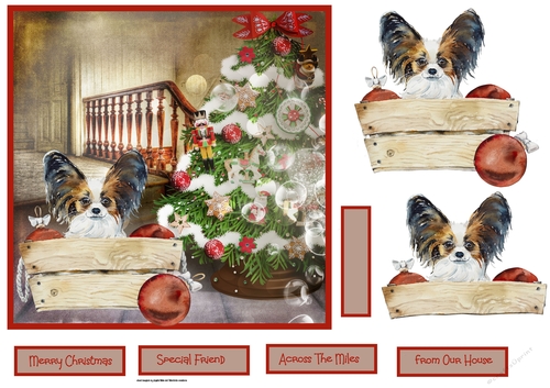 Puppy in a Christmas box 7x7