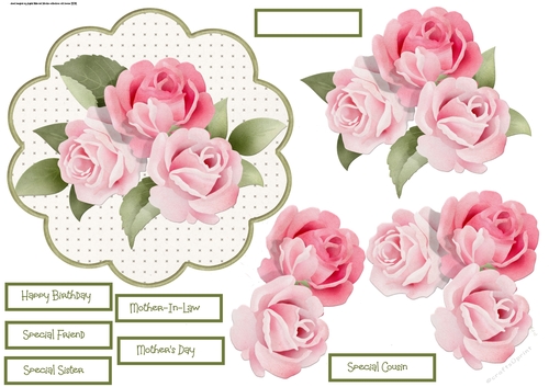 Rose scallop card