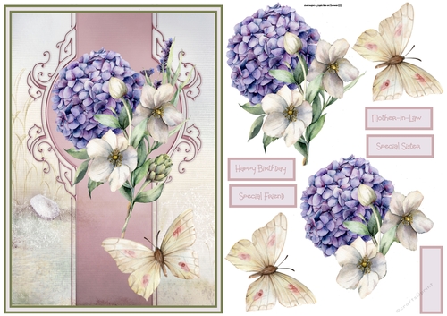 Hydrangea and butterfly A5