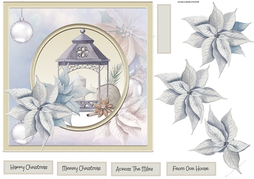Lantern and poinsettia 7x7