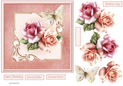 Pink rose and butterfly 7x7