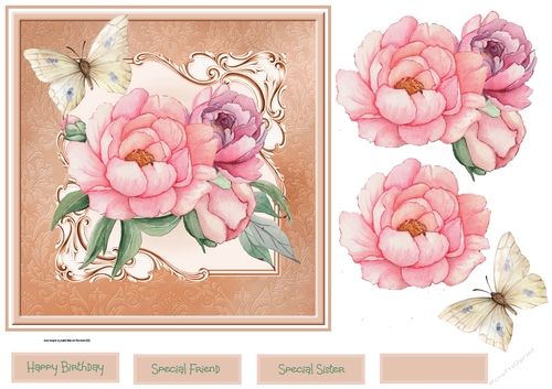 Pink peony rose and butterfly 7x7