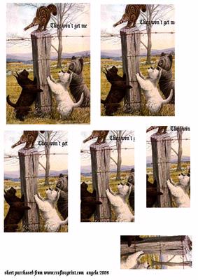 Westies and Cat