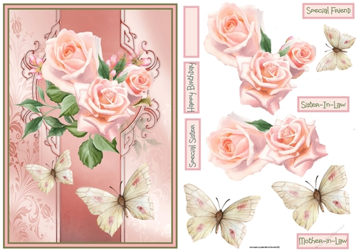 Pink rose and butterfly A5