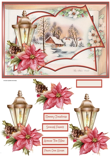 Lamp and poinsettia A5