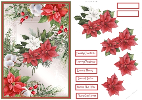 Poinsettia and holly A5