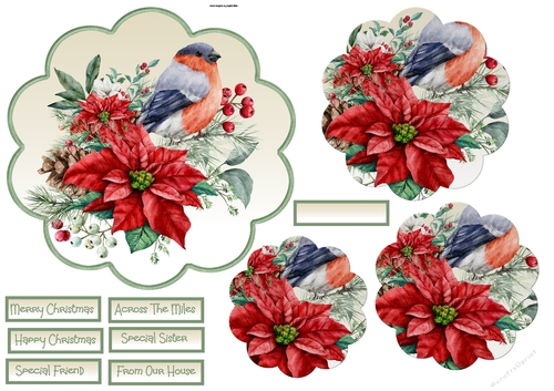 Bullfinch and poinsettia scallop