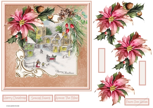 Poinsettia in past times 7x7