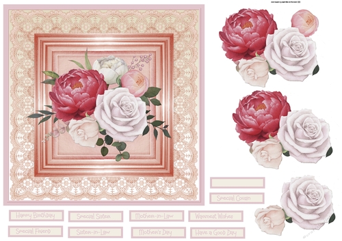 Roses and lace 7x7