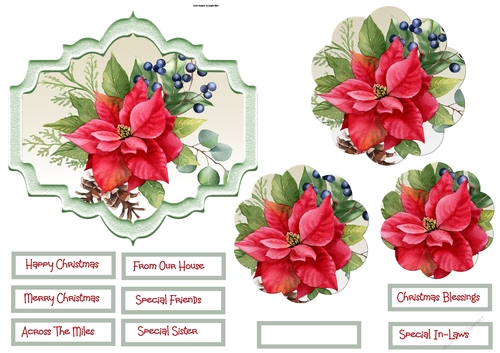 poinsettia and berry topper and scallop layers