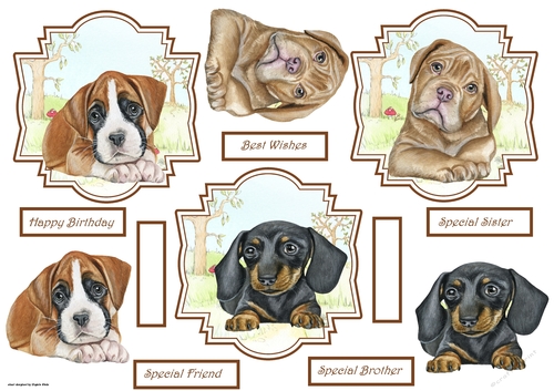 Boxer, Dougue de bordeaux and Dachshund dog toppers