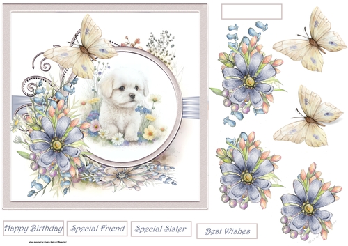 Baby Maltese and flowers 