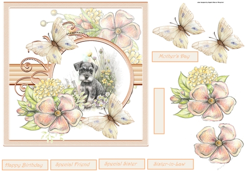 Baby Schnauzer and flowers 7x7