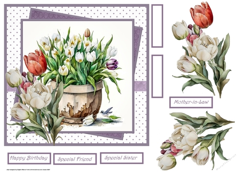 Spring tulips 7x7