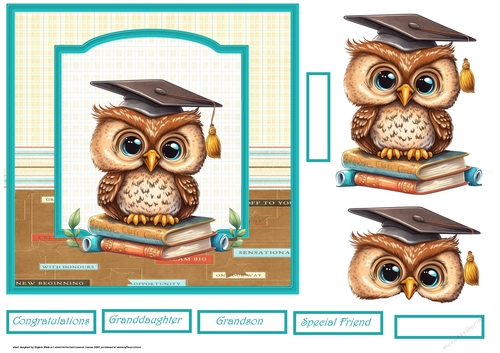 Graduation owl 7x7