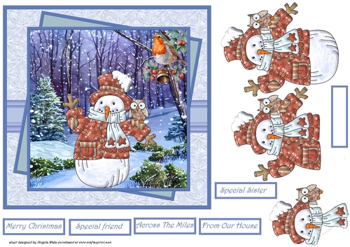 Snowman, owl and robin 7x7