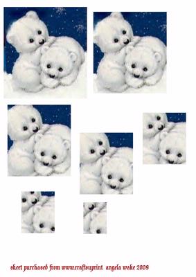 Baby Polar Bears