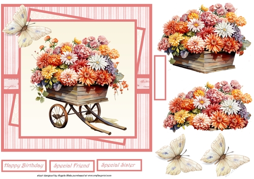 Wheel barrow of Chrysanthemums 7x7