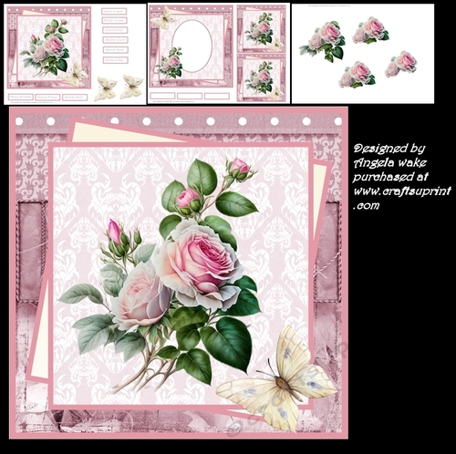 Pink English rose 7x7