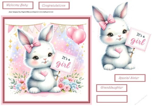 Rabbit baby girl 7x7