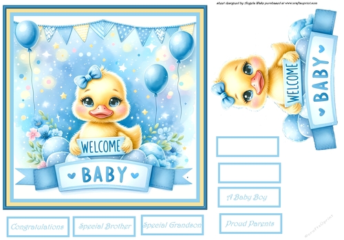 Baby duck 7x7 and toppers