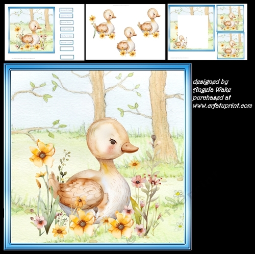 Baby goose 7x7, insert and decoupage