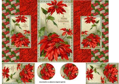 Warm Glow with Red Poinsettias Fold Back