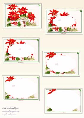Red Poinsettia
