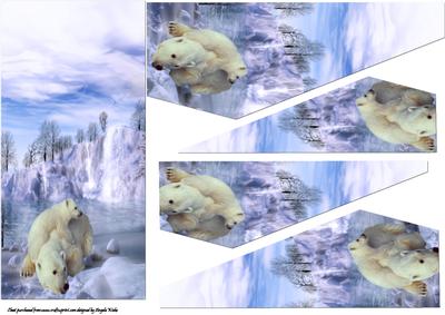 Mum and Son Polar Bears Playing