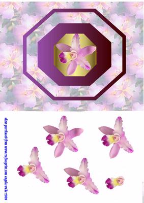 Multi Shade Orchid with Backing Paper
