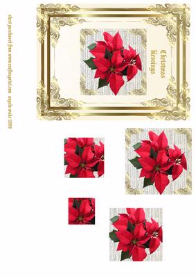 Framed Poinsettia