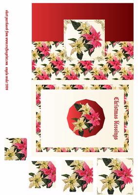 Mulit Colour Poinsettia