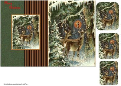 Reindeer is Looking for Someone