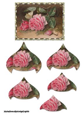 Vintage Rose and Fallen Petal