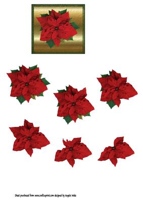Red Poinsettia