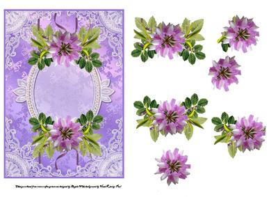 Wild English Rose
