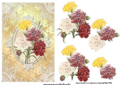 Mixed Carnations