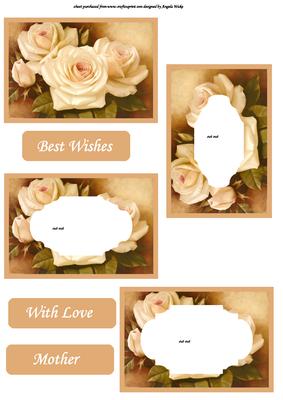Peaches and Cream Roses