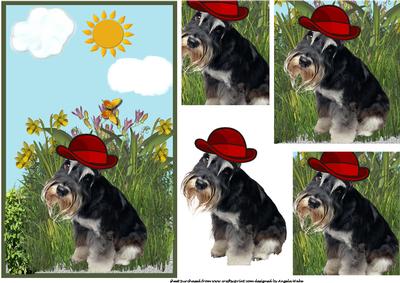 Meet Maxie in His Garden