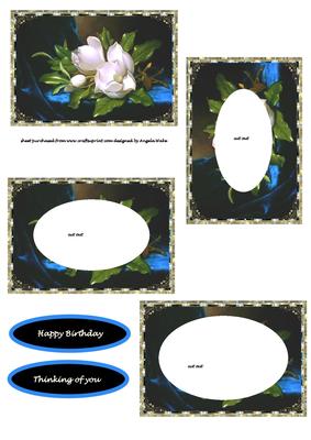 White Camilia on Blue Velvet