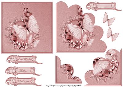 Butterfly in the Pink