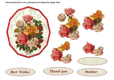 Mixed Colour Roses